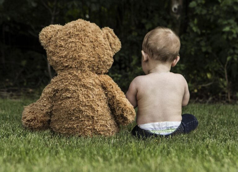 teddy day